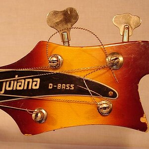 jolana_d-bass_headstock.jpg