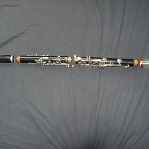 SNV84680.jpg