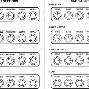 sansamp settings 1.jpg