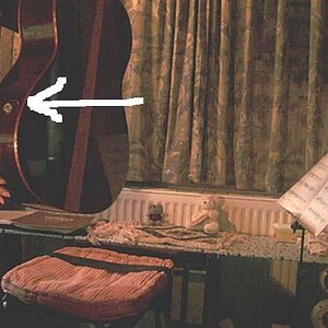 Saugnapf untere Zarge hell.jpg