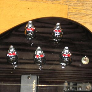 Aboiniel 7 Saiter Bass-4.jpg