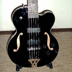 washburn ab95 detail.JPG