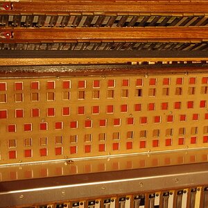 Gola459 ausser Cassotto2.jpg