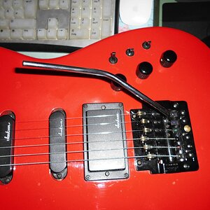 Trem-Arm_w_guitar_2.jpg