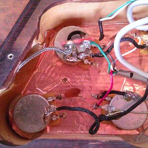 WP_20130407_005.jpg