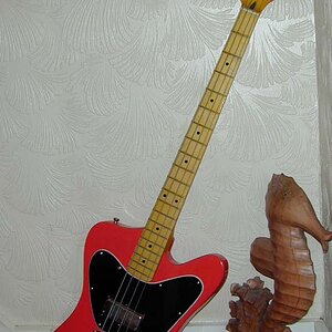 fenderbird_rsg-1.jpg