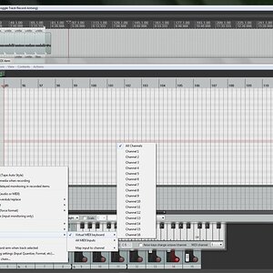 Midi1.jpg