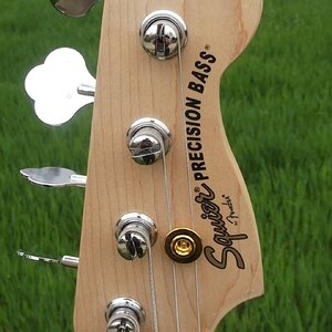 squier2013-04d.jpg