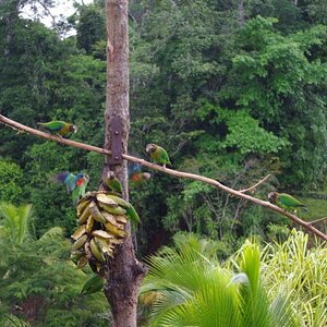 K1024_costa rica3 041.jpg