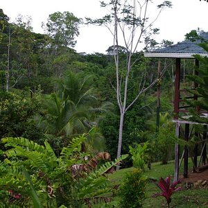 K1024_costa rica3 039.jpg