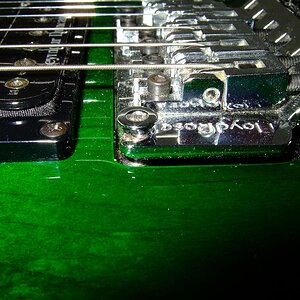 DSCF3645 (Mittel).JPG