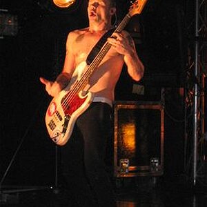 flea.jpg