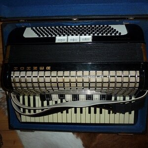 Akkordeon groÃ.jpg