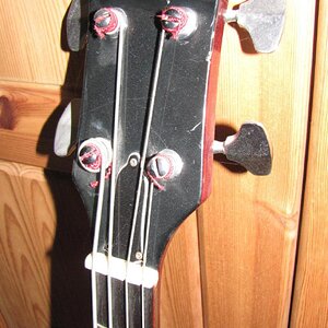 Pearl_Gibson_Bass_Kopf_IMG_8214.jpg