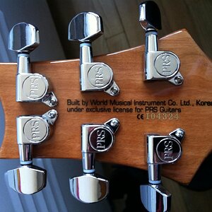 SE Semi Hollow Soapbar.jpg