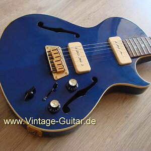 Gibson-Blueshawk-027.jpg