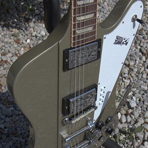 Gibson EE Tikibird 3.jpg