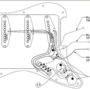 noiseles high resolution.jpg