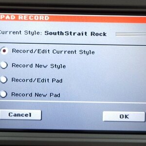 21 Style-Pad Record.JPG