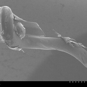 Nanoweb_m002.jpg