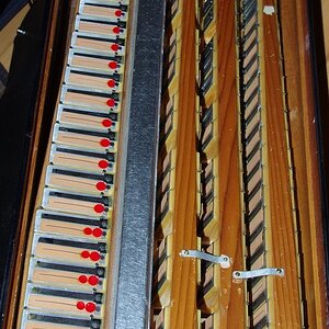 Diskant GolettaII.jpg