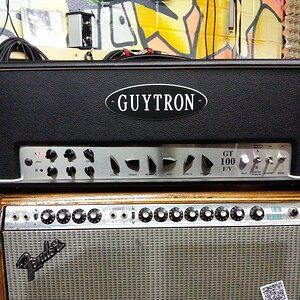 Guytron-Bild.jpg