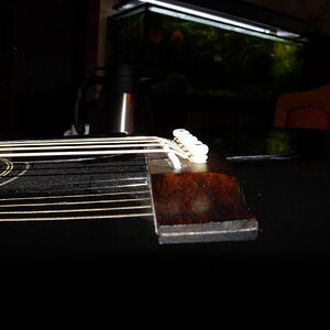 Diskus, Gitarre 01.2014 048.jpg