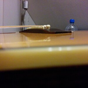 IMG_20140206_144546.jpg