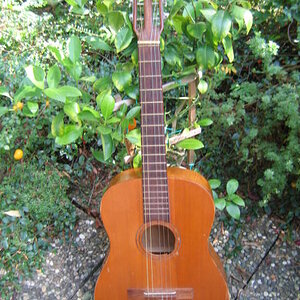 HÃ¶fnerKlassik2 kompl.JPG