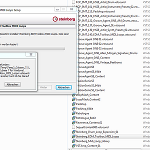 EDM-Tool Install..png