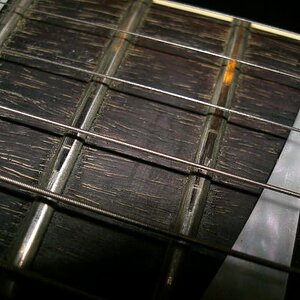 Resized CIMG0309.jpg