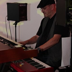 2012  Solid Dogs 30.jpg