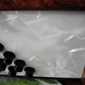 Bassteil im Perlmutt-Look.jpg