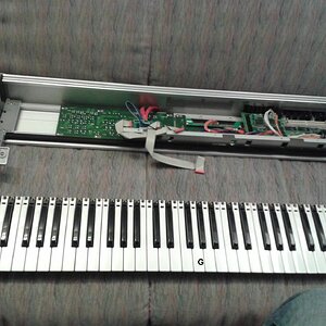 Triton Le 1 Kopie.jpg