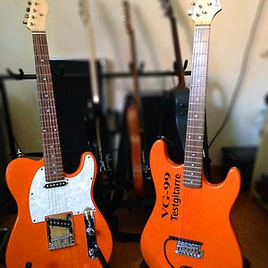 Two orange beautys.jpg