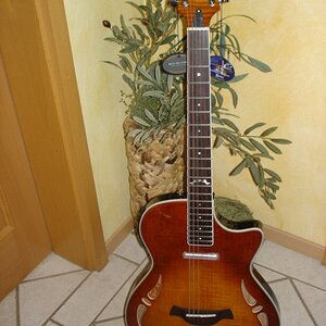 Gitarre Crafter0008.JPG