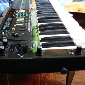 Korg poly 800_ ugly.jpg