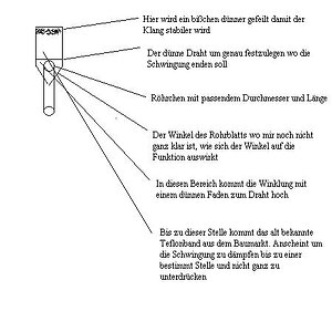Rohrblatt.JPG
