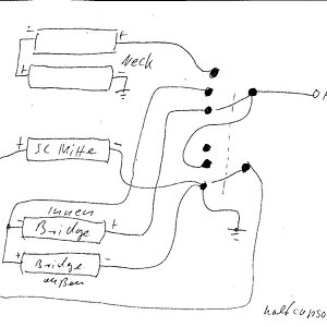 Wüstenpinguin.HB.SC.HB 001.jpg
