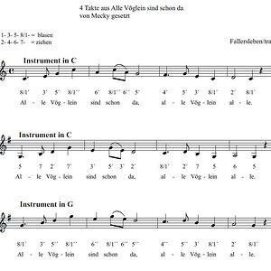 4 takte alle voegel.jpg
