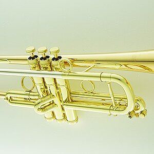 Carol-Brass-trumpet-8060h.jpg