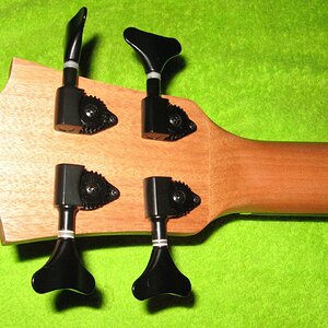 HB Bass-Uku_Kopf hinten.jpg