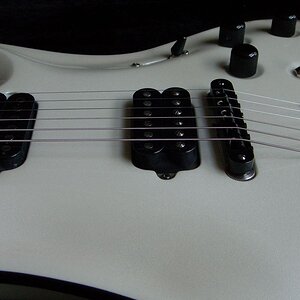 past 13 review 5.jpg