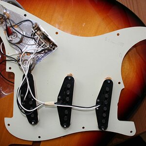 Strat Pickup 01.jpg
