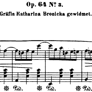 chopin-hohnertrauben.png
