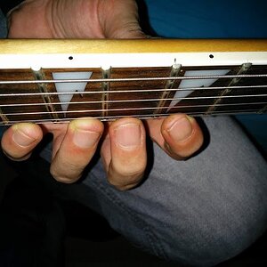 IMG_20150124_234553 (1).jpg