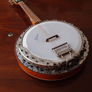 Mandolinenbanjo_P2143840.jpg