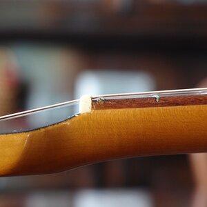 Mandolinenbanjo_P2143837.jpg