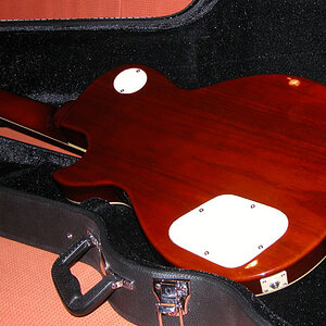 tokai-back.jpg