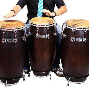 Reiche Congas.jpg